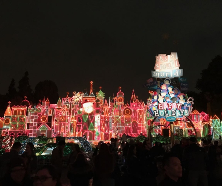 Disneyland! Where dreams are made of…(Christmas Edition)